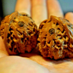 Walnuts, Matched Pair, Chinese Collection (Carved Baby Owl)