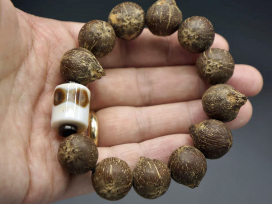 Wrist Mala, Mini Coconut Bodhi Beads, Unique Bird Eye Agate 1