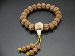 wrist mala unisex yoga bracelet 10mm rudraksha dragon seed 1