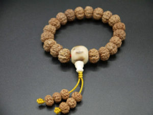 wrist mala unisex yoga bracelet 10mm rudraksha dragon seed 1