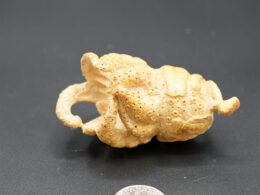 Bamboo Carved Buddha Hand 01