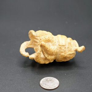 Bamboo Carved Buddha Hand 01