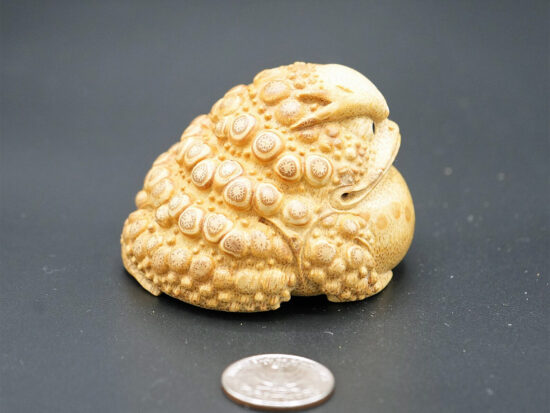 Bamboo Root Carved Mighty Golden Toad 04
