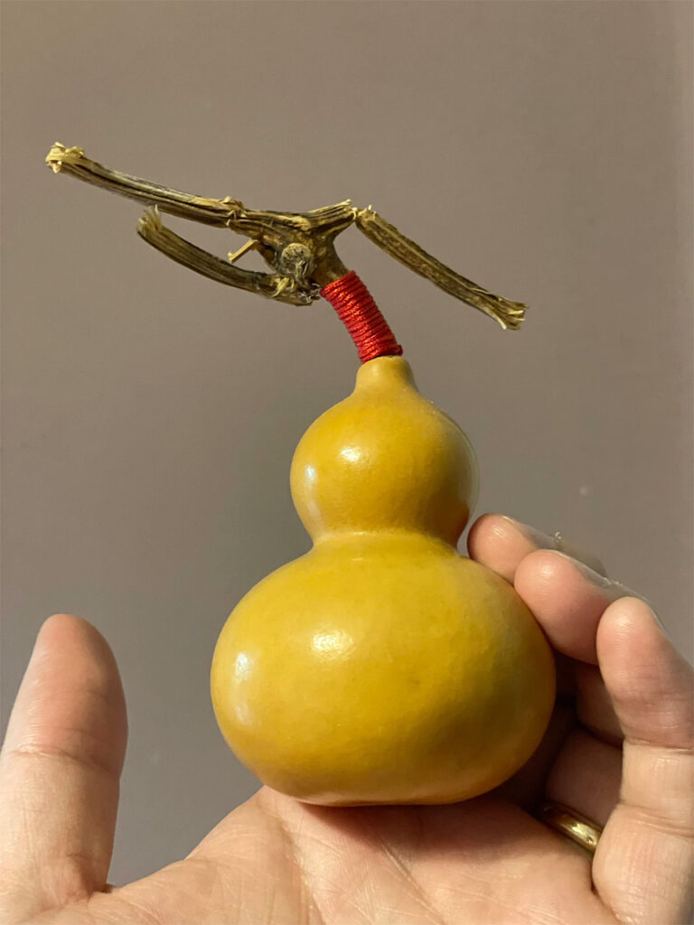 Chinese Lucky Gourd (HuLu) 01