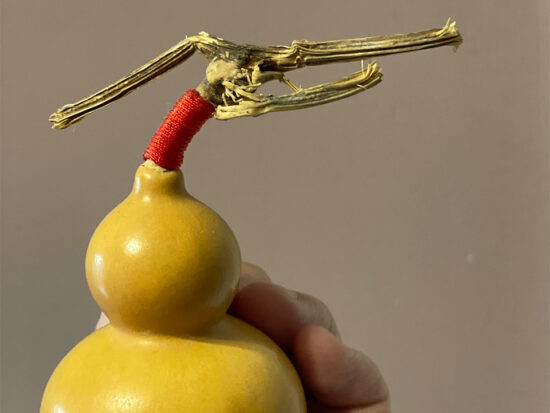 Chinese Lucky Gourd (HuLu) 04