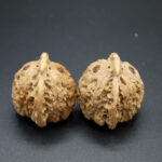 Walnuts, Matched Pair, Bird Carving 01
