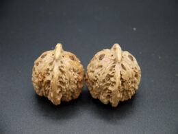 Walnuts, Matched Pair, Bird Carving 01