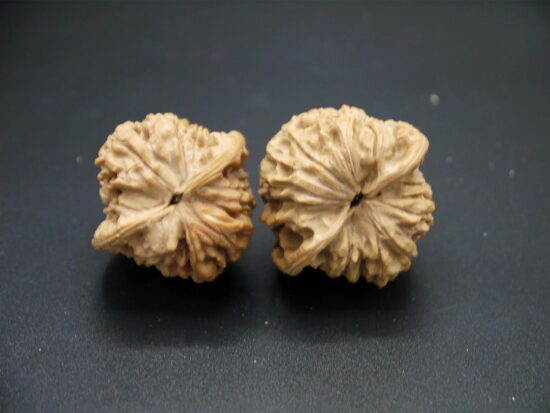 Walnuts, Matched Pair, Bird Carving 02