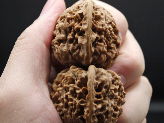 Walnuts, Matched Pair, Bird Carving 05