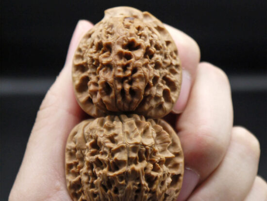 Walnuts, Matched Pair, Bird Carving 06
