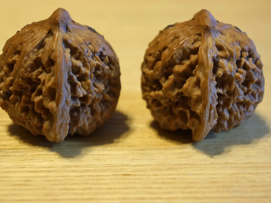 Walnuts, Matched Pair, Owl Carving 02