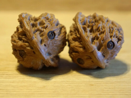 Walnuts, Matched Pair, Owl Carving 04