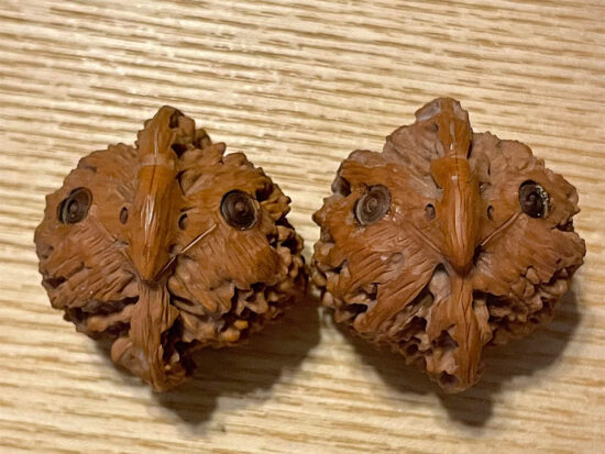 Walnuts, Matched Pair, Owl Carving 06