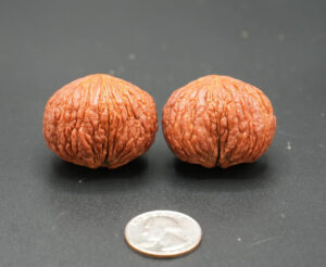 Walnuts, Matched Chinese Feng Shui Monkey Head Walnut Pair 01