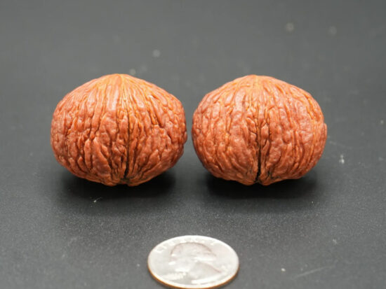 Walnuts, Matched Chinese Feng Shui Monkey Head Walnut Pair 01