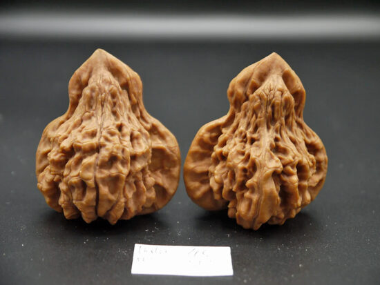 Walnuts, Pair of Lucky Gourd 46mm x 50mm 01