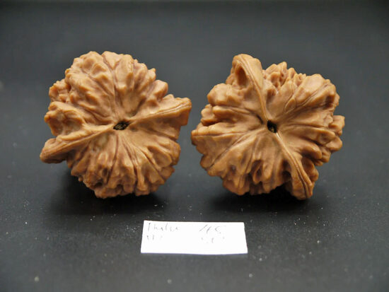 Walnuts, Pair of Lucky Gourd 46mm x 50mm 02