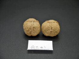 Walnuts, Pair of Matched Three Faced Petite Yunnan Iron 30mm 01