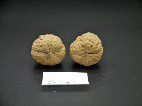 Walnuts, Pair of Matched Three Faced Petite Yunnan Iron 30mm 02