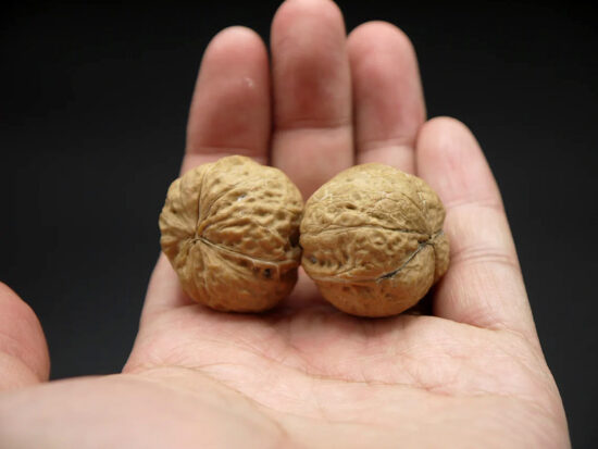 Walnuts, Pair of Matched Three Faced Petite Yunnan Iron 30mm 04