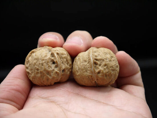Walnuts, Pair of Matched Three Faced Petite Yunnan Iron 30mm 05