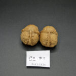 Walnuts, Pair of Matched Three Faced Petite Yunnan Iron 30x35x30 mm 01