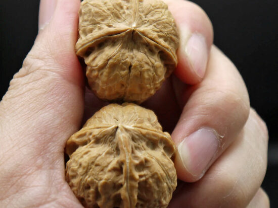 Walnuts, Pair of Matched Three Faced Petite Yunnan Iron 30x35x30 mm 02