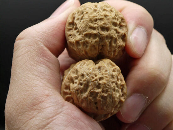 Walnuts, Pair of Matched Three Faced Petite Yunnan Iron 30x35x30 mm 03