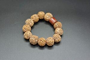 Wrist Mala, 19mm Raw Rudraksha, Red Agate Barrel Bead 01