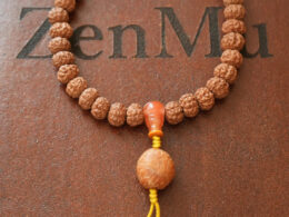 Wrist Mala, 9mm Dragon Rudraksha, NanHong Icy Agate, Dragon Eye Bodhi 0