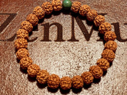 Wrist Mala, Custom Size, 8mm Rudraksha, 8mm Turquoise 02
