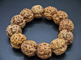 Wrist Mala, Double Dragon, Four Face Nepal Rudraksha 01