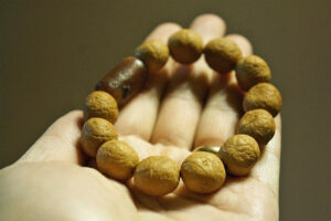 Wrist Mala, Nepal 16mm Phoenix Eye Bodhi, Blessed 01